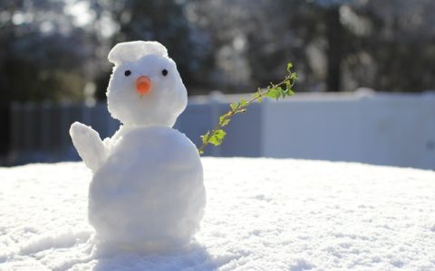 土工与岩石：工程地质基础认知