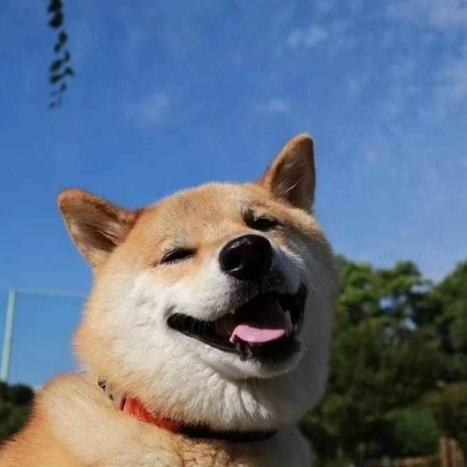 33的头像